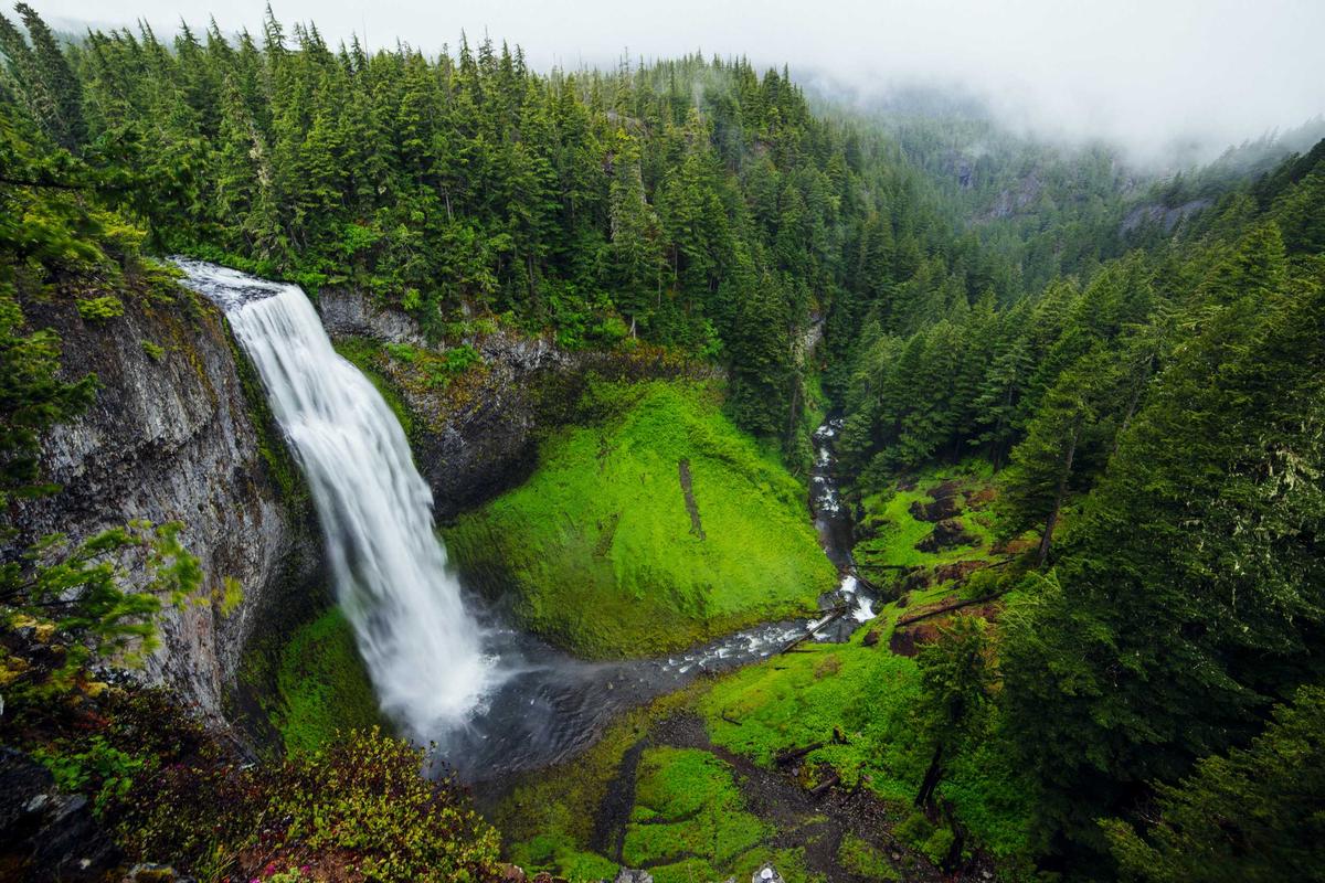 Wasserfall im Wald